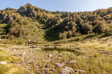 Plateau de Bispou, Pyr&eacute;n&eacute;es