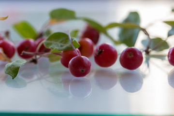 wild tiny apples are waiting to be jam on a white background