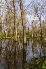Obraz premium Spring in the sea Garden, Burgas, Bulgaria