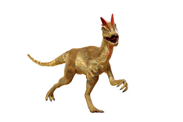 Dilophosaurus, theropod dinosaur from the Early Jurassic period (3d render isolated on white background)