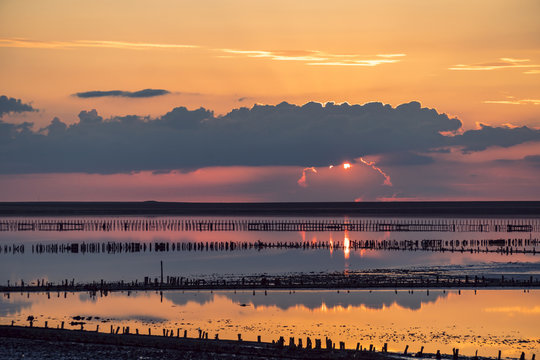 Sunset on a pink Salt Lake, Sivash, Arabat Spit