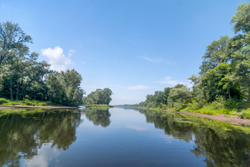 lake in the forest