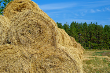 Round haystack in the field after haymaking, copy space, agricultural industry concept