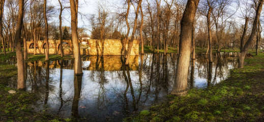Obraz premium Reflections in the sea garden