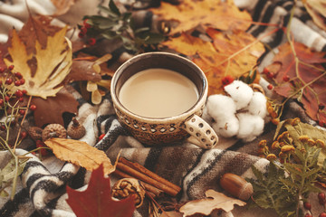 Delicious coffee with fall leaves, berries, nuts, acorns, cotton, cinnamon on  soft blanket background. Seasons greetings. Cozy autumn image. Happy Thanksgiving concept.