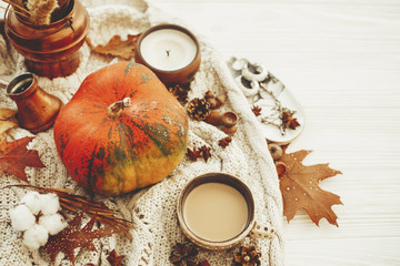 Happy Thanksgiving concept. Pumpkin, coffee, candle, fall leaves, berries, nuts, acorns, cotton, cinnamon on sweater and rustic white wood. Seasons greetings. Cozy autumn image
