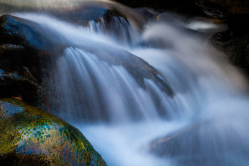 Oak Creek in Northern Arizona