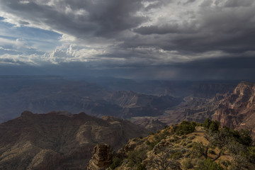 Stormy Canyon