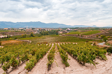 Fototapeta na wymiar countryside town of elciego in la rioja with marques del fiscal winery at background, Spain