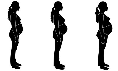 Silhouette of the second three-month pregnant woman