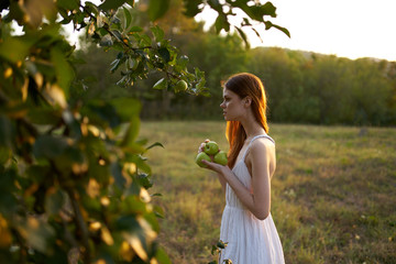 woman with apples in the garden nature summer