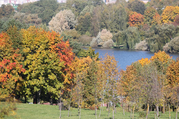 Autumn landscape with green deciduous trees that began to turn red and yellow on shore of lake. European Park