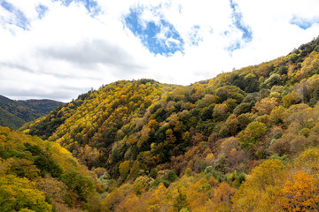 日本　美しい　高山　散歩　秋　色　解放