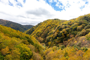 日本　美しい　高山　散歩　秋　色　解放