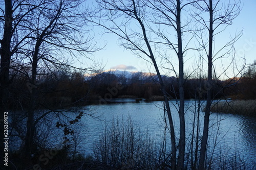 Lake Water River Landscape Tree Sky Nature Reflection