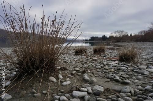 Grass Sky Nature Landscape Water Blue River Sand