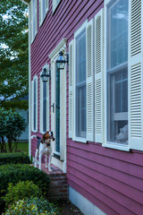 Dogs talking; one inside another outside