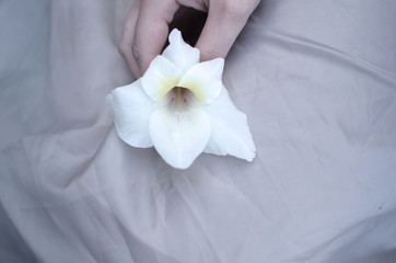 thin female hand holds a white gladiolus flower over a gray cloth