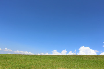 Blue sky and green field background
