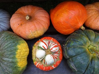 A varieties of squash and pumpkins