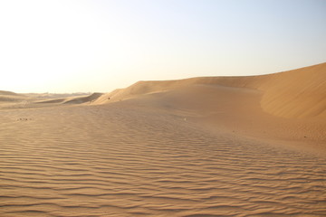 Fototapeta na wymiar Dubai Emirates sand dunes