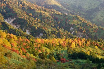 志賀高原の紅葉の絶景を望む