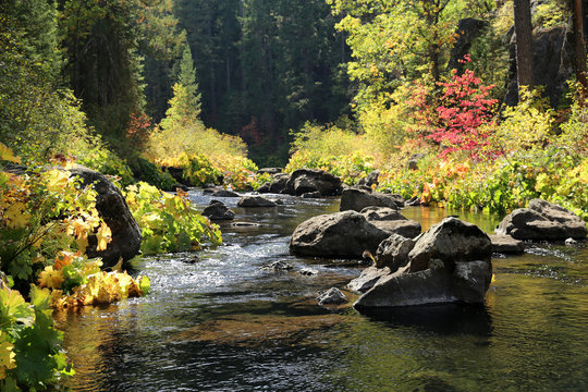 Fall colors next to a river