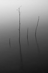 Shades of Grey