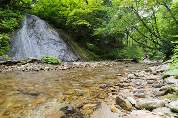 新緑の頃の美しい日本の山岳渓流