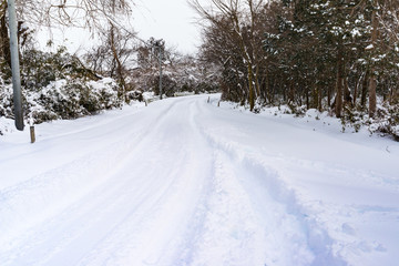 広い車道の雪道に残る走行跡