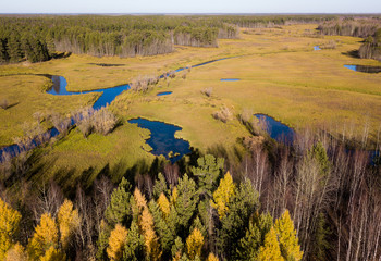 Vasyugan swamp from aerial view. Taiga forest landscape. Beautiful ecological view.  Oil and peat...