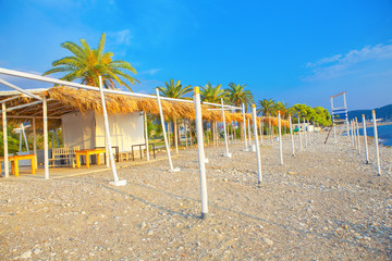 green palms on empty exotic beach