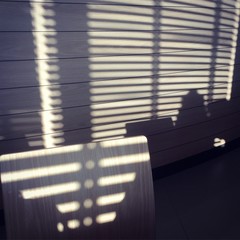 shadow