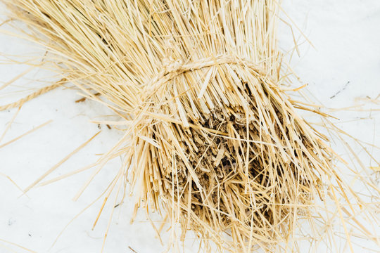 Ears Of Wheat On White Background