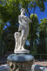 Fototapeta premium Statue from the collection of marble sculptures by Italian masters of the late XVII - early XVIII centuries in the Summer Garden in St. Petersburg