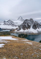 Stark wintry views of Mount Assiniboine with yellow larches