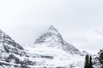 Mount Assiniboine on a stark cold wintry day