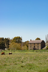 Bluestone Farmhouse vert Low