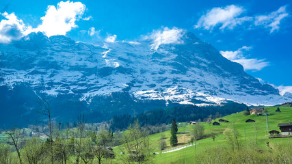 House Natural Landscape 