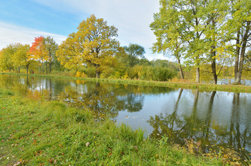 Autumn landscape in the Park.