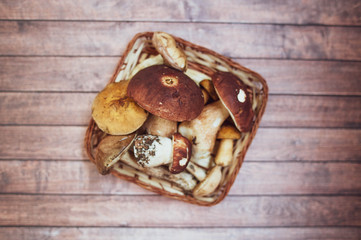 Fresh forest mushrooms in the basket, porcini , brown cap boletus , mosses, macro,  flat lay