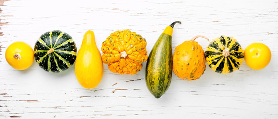 Assortment of decorative pumpkins