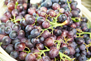 Red grapes