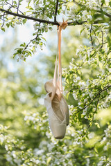 ballerina's pointe shoes hang on a tree