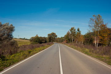 Early autumn sunny road