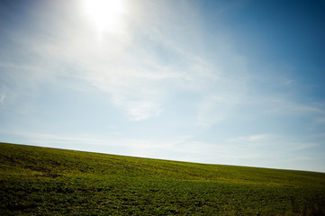 Green field and blue sky