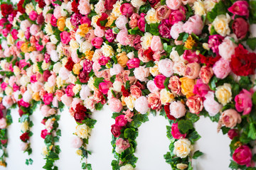 wedding decoration - flowers wall background with colorful roses and peonies
