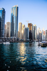 Fototapeta na wymiar Dubai Emirates modern buildings skyline