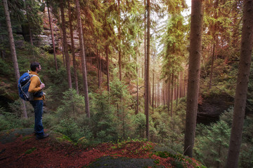 Wanderer im Wald