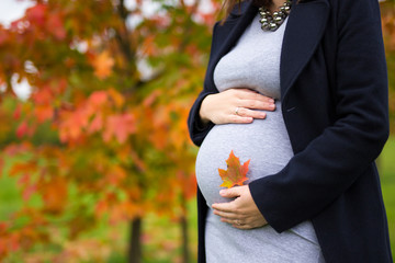 close up of pregnant woman holding little maple leaf on her belly over autumn background